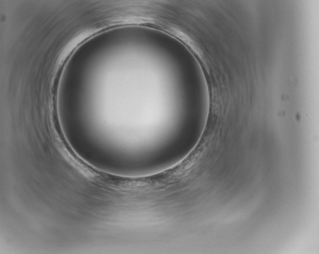 X0000073901187200608111122