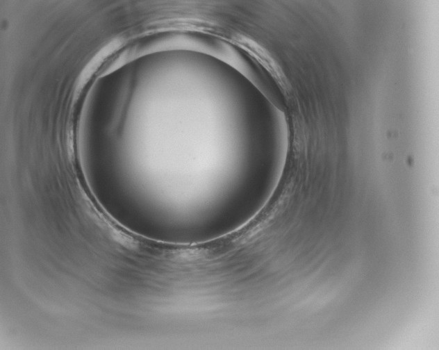 X0000073901188200608111122