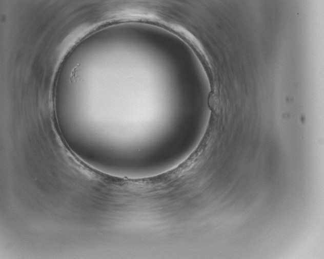 X0000073901191200608111122