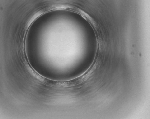 X0000073901194200608111122