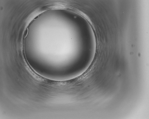 X0000073901195200608111122