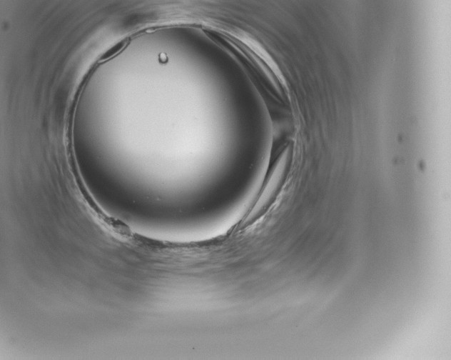 X0000073901197200608111122