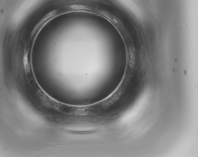 X0000073901198200608111122