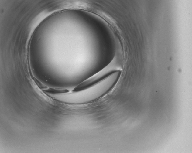 X0000073901200200608111122