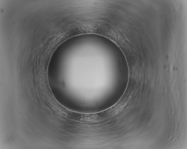 X0000073901201200608111121