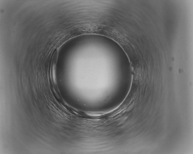 X0000073901202200608111121