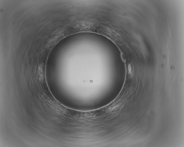 X0000073901203200608111121