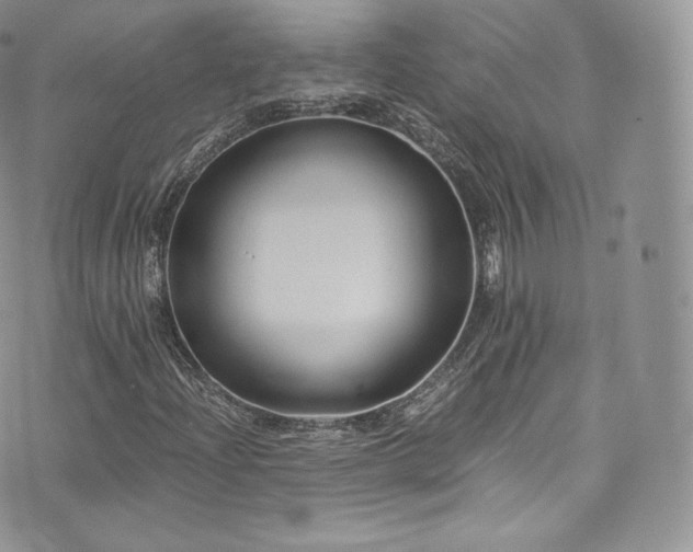 X0000073901204200608111121