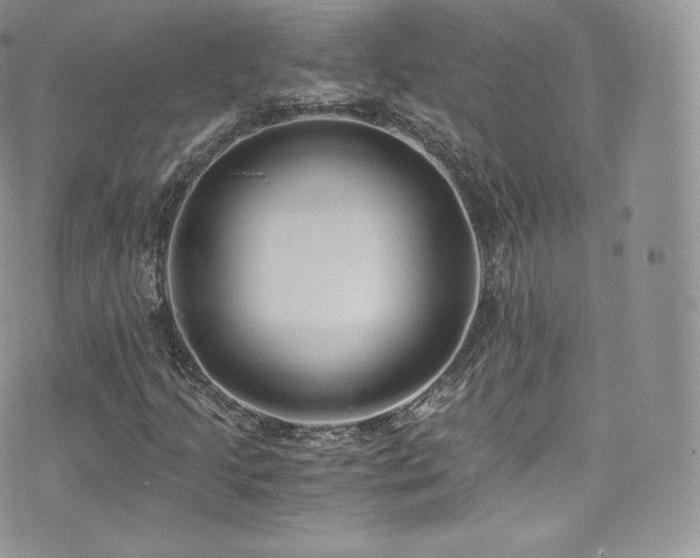 X0000073901205200608111121