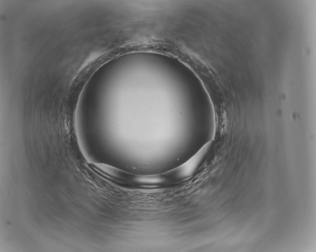 X0000073901206200608111121