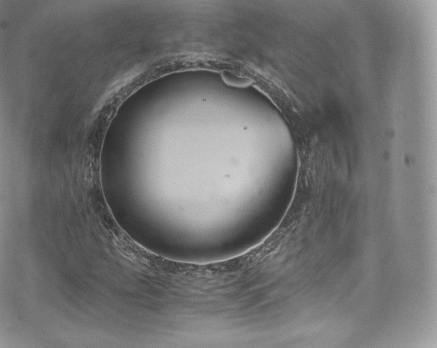 X0000073901207200608111121