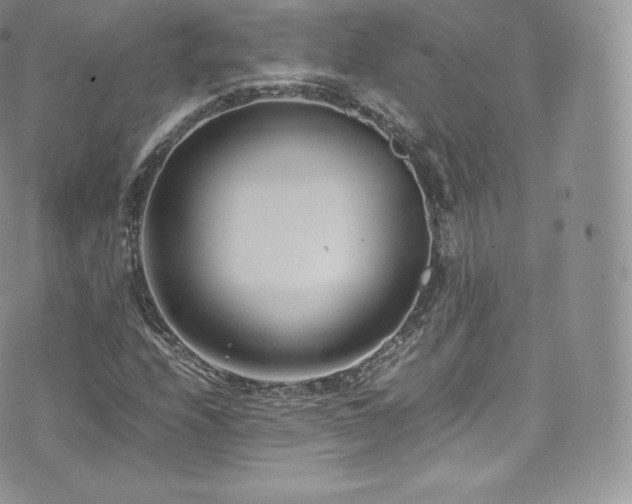 X0000073901208200608111121