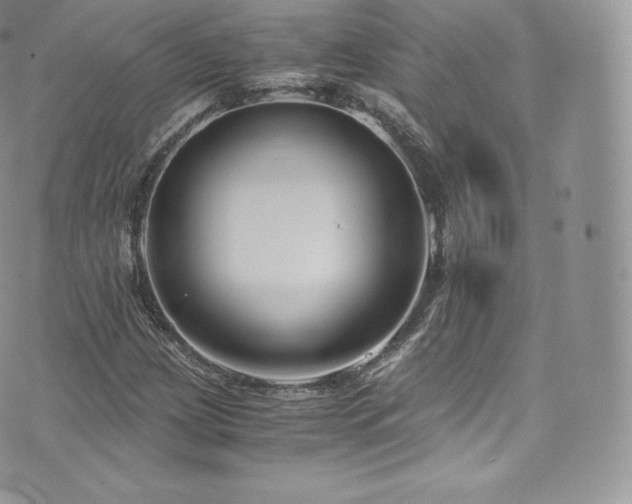 X0000073901209200608111121