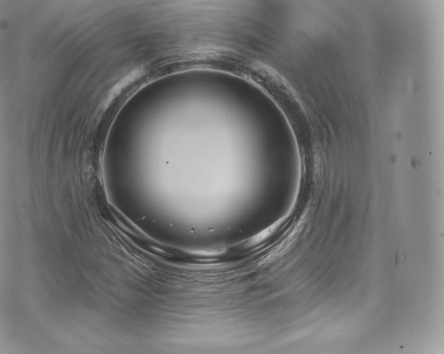 X0000073901210200608111121