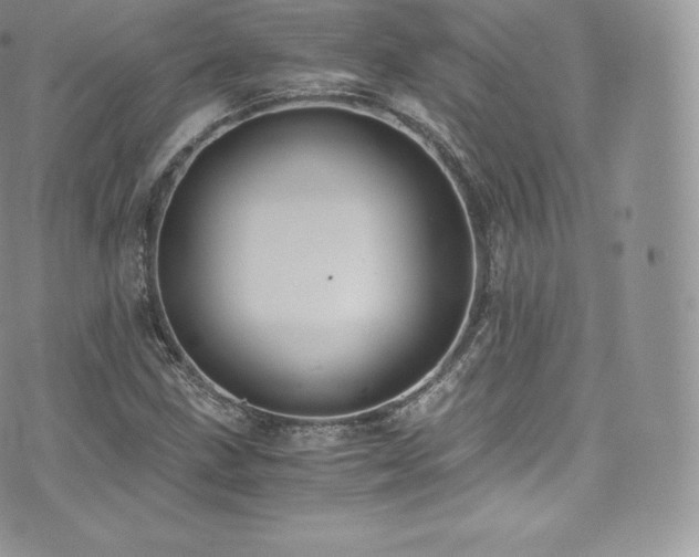 X0000073901211200608111121