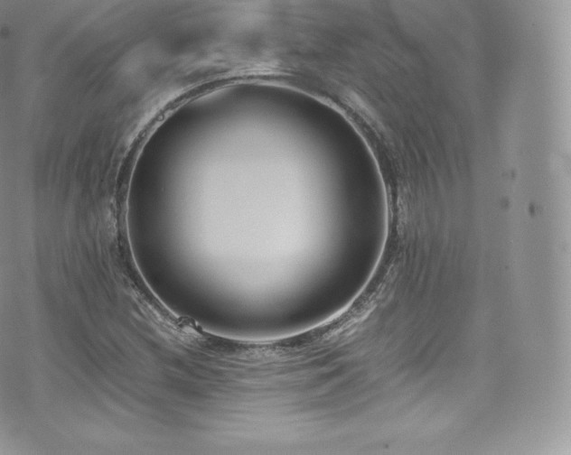 X0000073901212200608111121