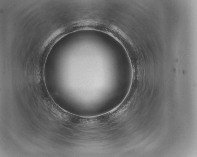 X0000073901213200608111121