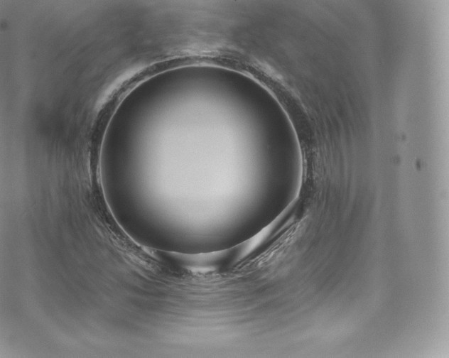 X0000073901214200608111121