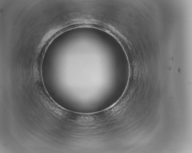 X0000073901215200608111122