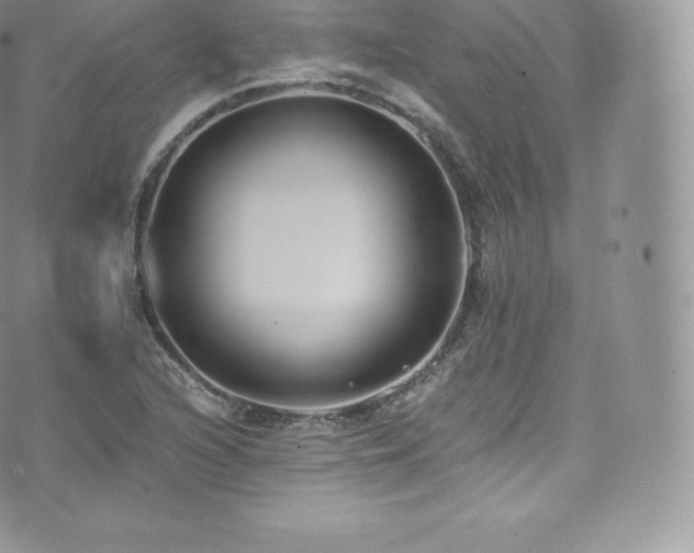 X0000073901216200608111122