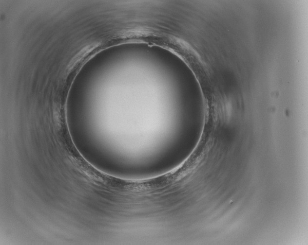 X0000073901217200608111122