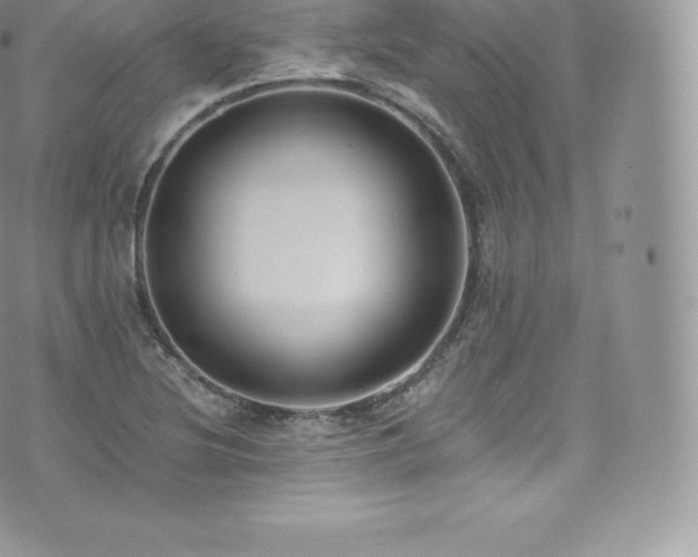 X0000073901220200608111122