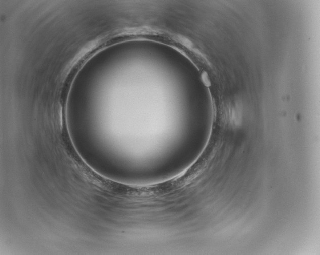 X0000073901221200608111122