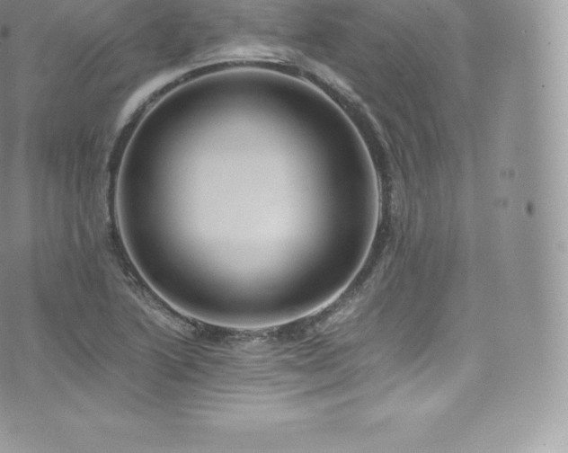 X0000073901222200608111122