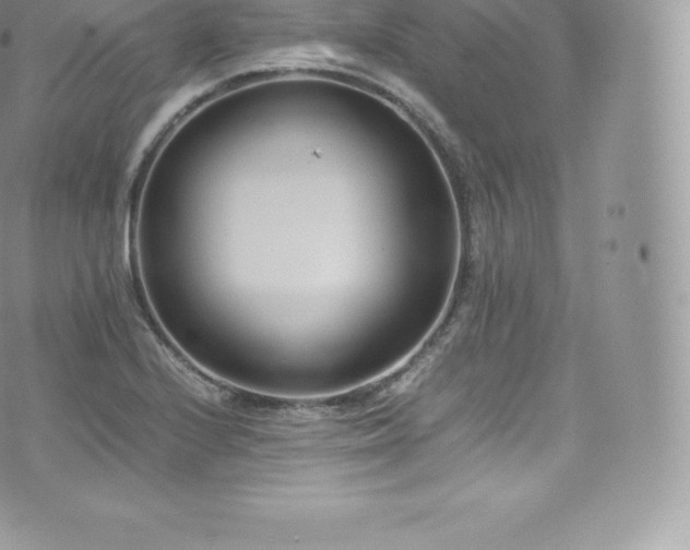 X0000073901224200608111122