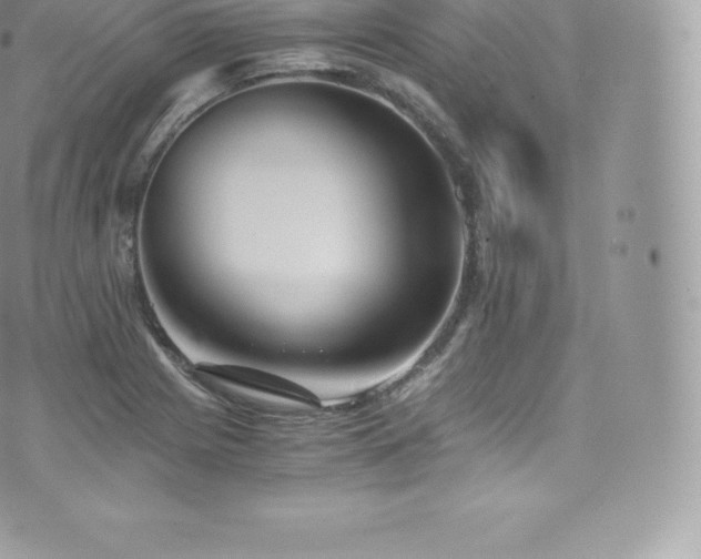 X0000073901225200608111122