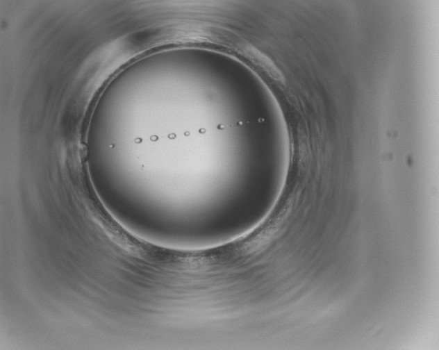 X0000073901226200608111122