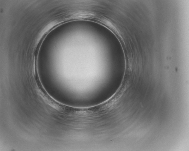 X0000073901227200608111122