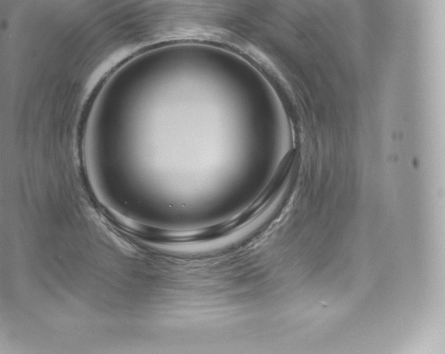 X0000073901230200608111122