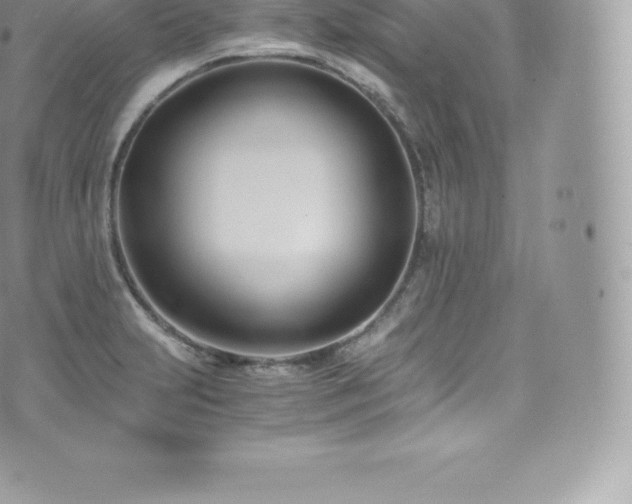 X0000073901231200608111122