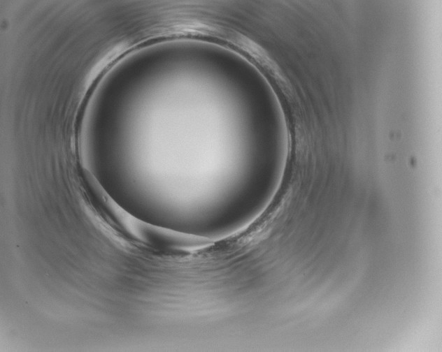 X0000073901234200608111122