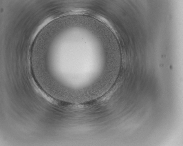 X0000073901235200608111122