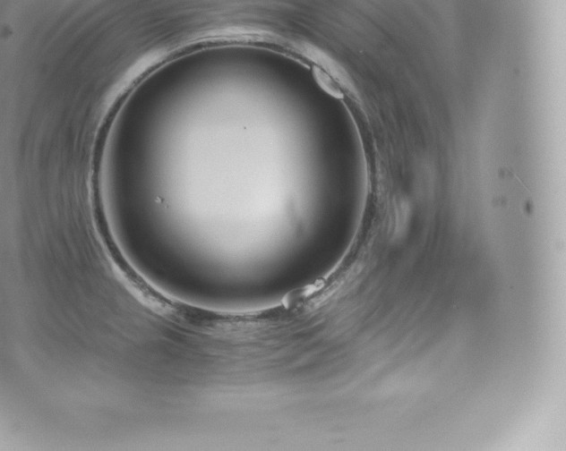 X0000073901237200608111122