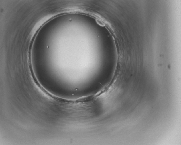 X0000073901239200608111122