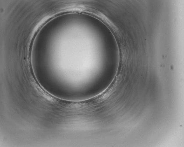 X0000073901240200608111122