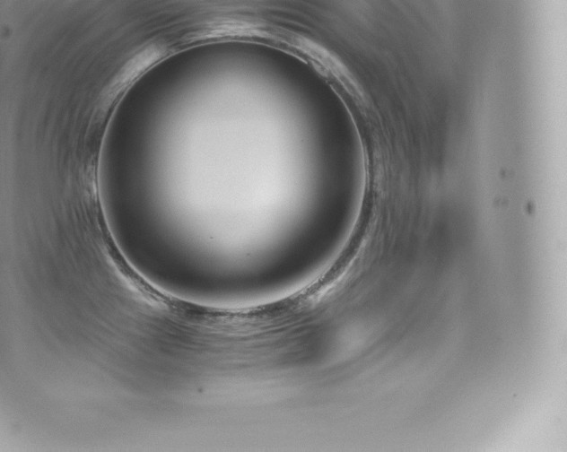 X0000073901241200608111122