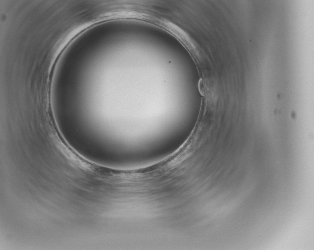 X0000073901244200608111122