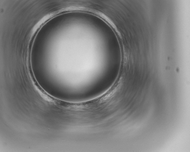 X0000073901245200608111122