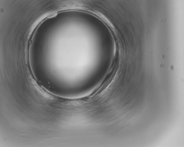 X0000073901246200608111122