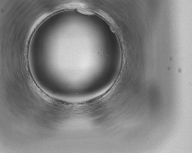 X0000073901248200608111122