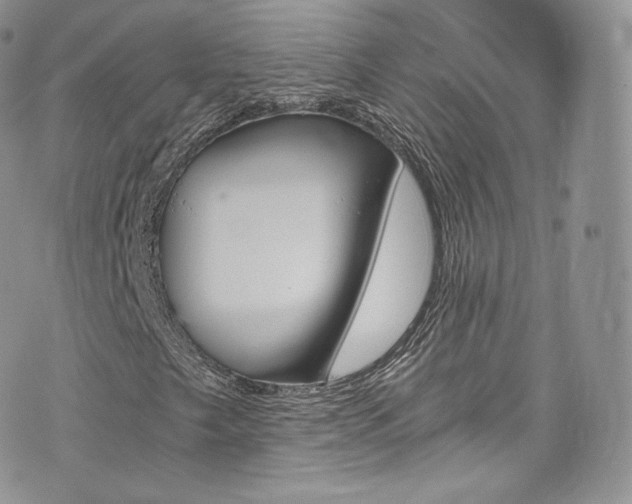 X0000073901249200608111121