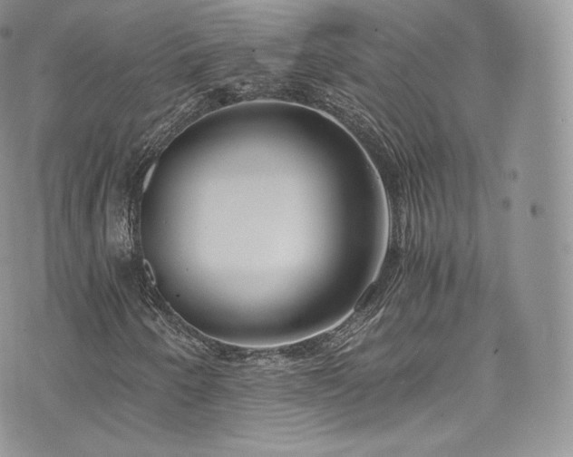 X0000073901250200608111121