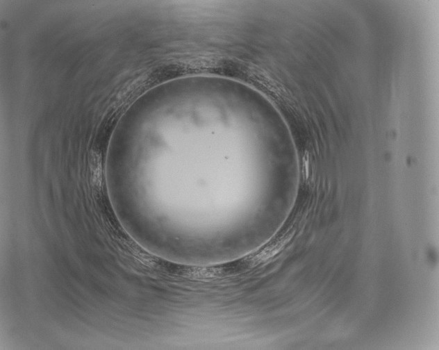 X0000073901251200608111121