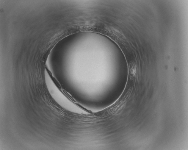 X0000073901252200608111121