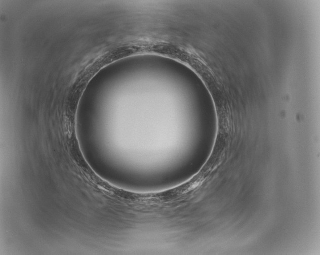 X0000073901253200608111121