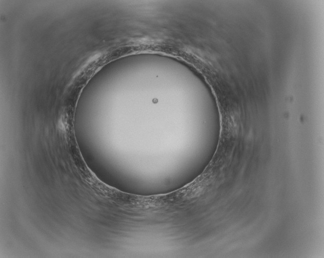 X0000073901254200608111121